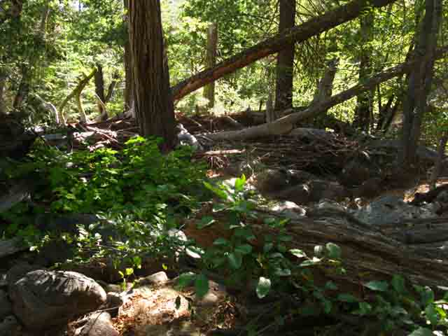 Mixed debris and chaotic terrain.